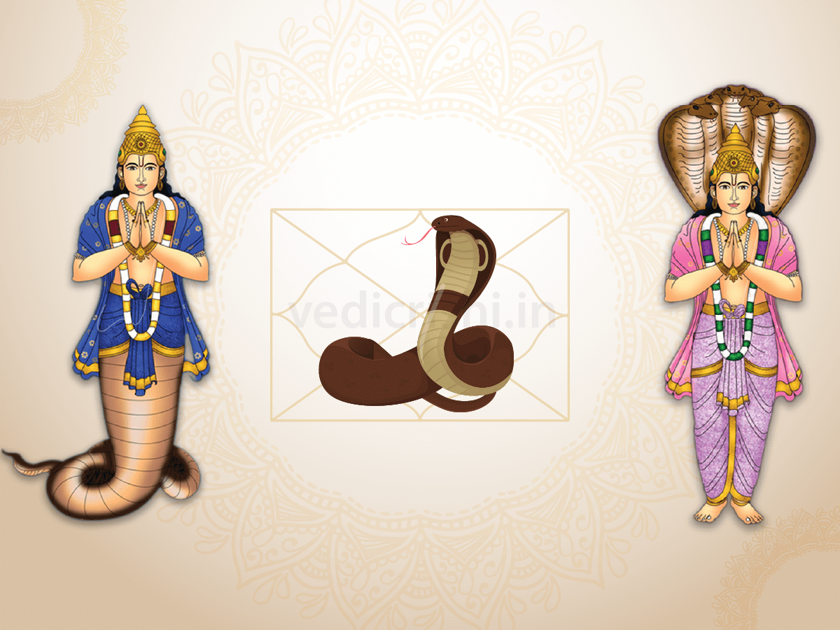 Kaal Sarp Dosh Puja